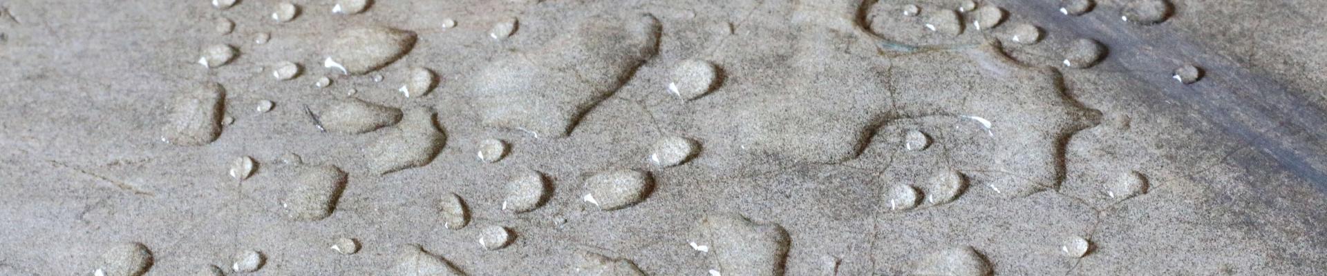 WATER REPELLANT COATING